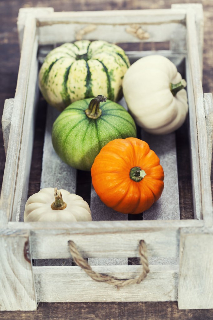 Pumpor